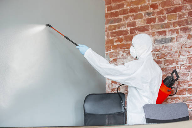 Best Comprehensive Air Testing for Mold Contaminants  in Mission Hills, KS