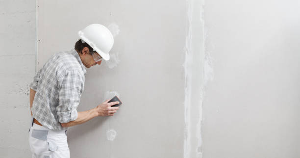 Best Mold-Related Health Consultation  in Mission Hills, KS